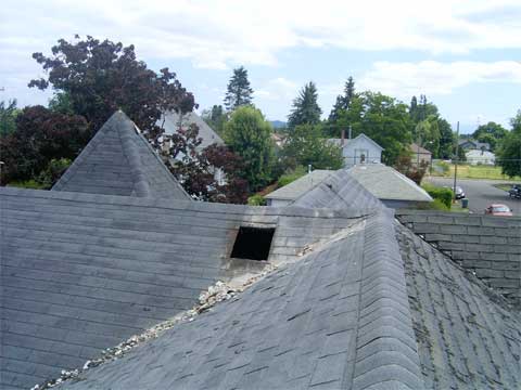 Roof without a chimney